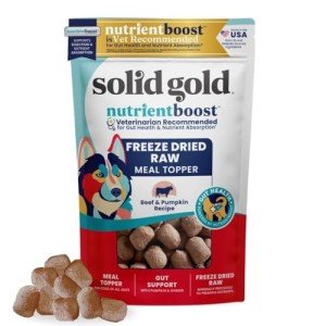 Real Beef & Pumpkin Freeze-Dried Dog Food 1.5 OZ