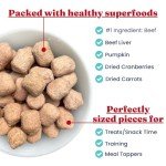 Real Beef & Pumpkin Freeze-Dried Dog Food 1.5 OZ