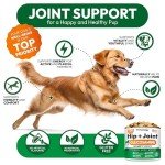 Hemp Hip & Joint Chews for Dogs - 170 Count
