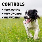 Interceptor Pet Medication for 51-100 lb Dogs