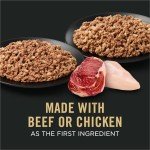 Purina Pro Plan Chicken & Beef Wet Dog Food Pack