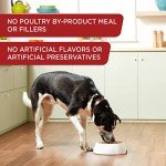 Rachael Ray Nutrish Beef & Pumpkin Wet Dog Food