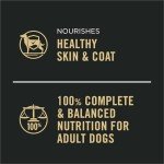 Purina Pro Plan Chicken & Beef Wet Dog Food Pack