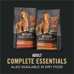 Purina Pro Plan Chicken & Beef Wet Dog Food Pack