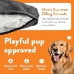 Stylish Large Dog Sofa with Pillows - Charcoal