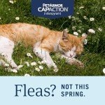 Fast-Acting Oral Flea Treatment for Cats