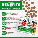 YUMA'S Hip and Joint Chews for Dogs - 170 Ct