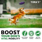 YUMA'S Hip and Joint Chews for Dogs - 170 Ct