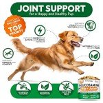 Petsology Joint Health Chews for Dogs - 170 Count