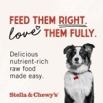 Stella & Chewy’s Chicken Meal Mixers for Dogs