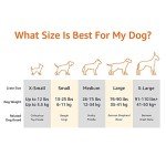 Amazon Basics Elevated Cooling Dog Bed for Large Dogs