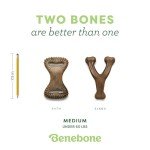 Benebone 2-Pack Wishbone & Dental Chew Toys
