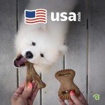 Benebone 2-Pack Wishbone & Dental Chew Toys