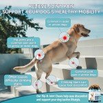 Delicious Hip and Joint Chews for Dogs