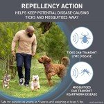 FRONTLINE Shield Flea & Tick Treatment for Large Dogs