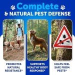 Natural Flea and Tick Chews for Dogs