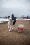 Tender & True Farmers Market Freeze-Dried Dog Food