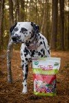 Tender & True Farmers Market Freeze-Dried Dog Food
