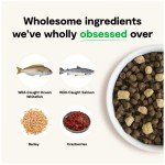 Protein-Packed RawMix Dog Food with Ancient Grains