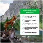 Protein-Packed RawMix Dog Food with Ancient Grains
