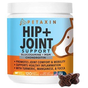 Petaxin Dog Joint Supplement Chews – Hip & Mobility