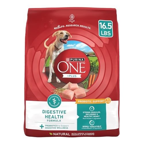 Purina One Digestive Health Dry Dog Food - 16.5 lb