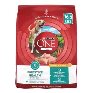 Purina One Digestive Health Dry Dog Food - 16.5 lb