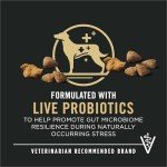 Purina Pro Plan Chicken and Rice Dog Food 15 lb