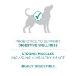 Purina One Digestive Health Dry Dog Food - 16.5 lb