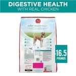 Purina One Digestive Health Dry Dog Food - 16.5 lb