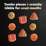 Cesar Small Breed Dry Dog Food, Porterhouse Flavor