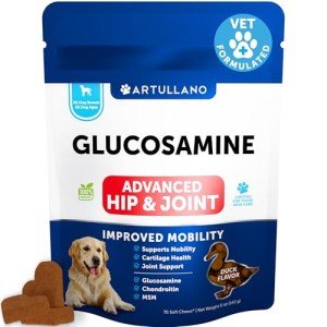 Joint Health Chews for Dogs - 70 Soft Treats
