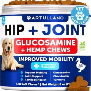 Hemp Joint Supplement Chews for Dogs - 120 Treats