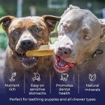 Himalayan Yak Cheese Dog Chews - Large Pack