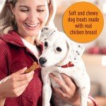 Soft & Chewy Chicken Dog Treats – 25 Ounces