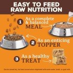 Beef Freeze-Dried Raw Dog Food Nuggets, 14 oz