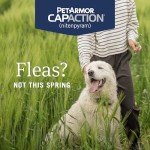 PetArmor Flea Treatment for Dogs - 6 Fast Tablets