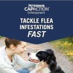 PetArmor Flea Treatment for Dogs - 6 Fast Tablets