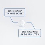 PetArmor Flea Treatment for Dogs - 6 Fast Tablets