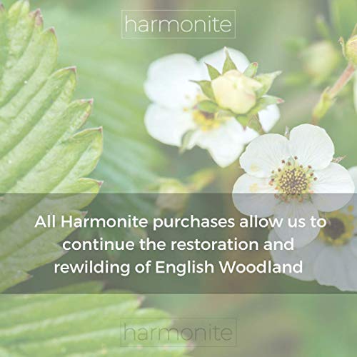 Handmade Baltic Amber Acorn Pendant Necklace for Peace