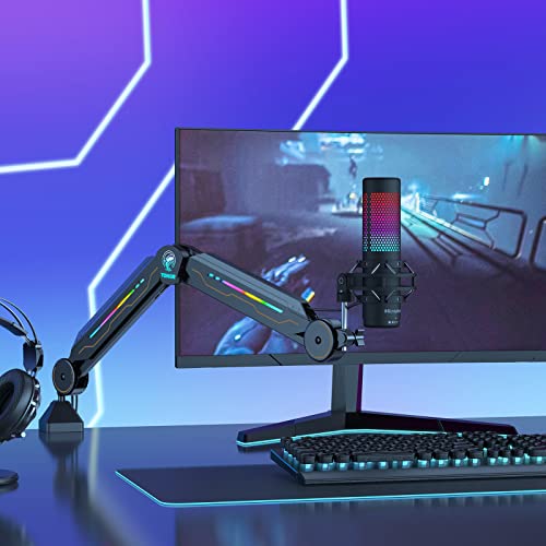 Adjustable Mic Stand with RGB Light for Streaming
