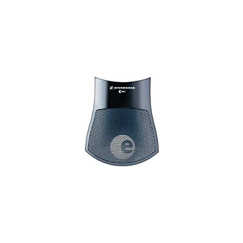 Sennheiser e901 Boundary Layer Mic for Kick Drum