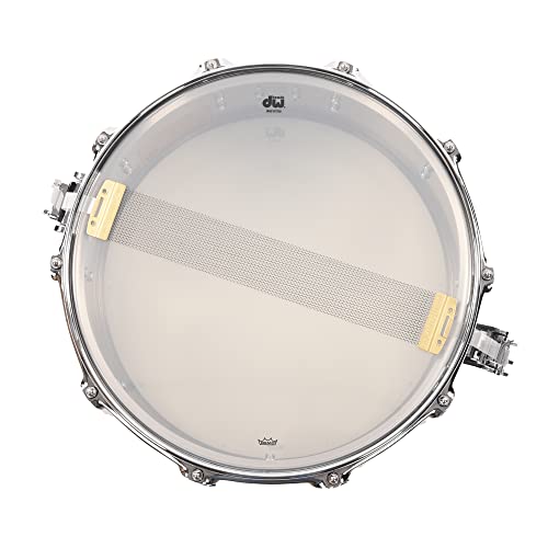 Drum Workshop DW Collector's Series Stainless Steel Snare Drum with Chrome Hardware 14x6.5" DRVL6514SPC