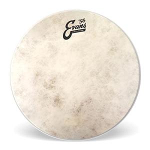 Evans Calftone 14" Tom Batter Drumhead