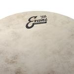 Evans Calftone 14 Inch Tom Drumhead