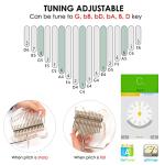 AKLOT 17-Key Transparent Acrylic Bear Kalimba