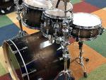 Pacific by DW Concept Maple Exotic 5-Piece Shell Pack
