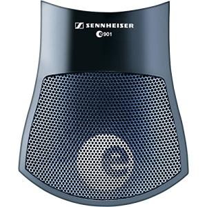 Sennheiser e901 Boundary Layer Mic for Kick Drum