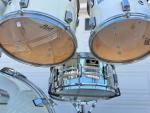 Pearl World Series 6-Piece Birch/Mahogany Drum Set