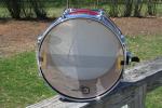 Ddrum Dios 13x7 Maple Snare Drum - Last One!